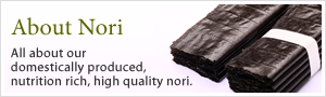 About Nori