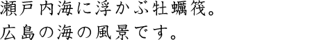 瀬戸内海に浮かぶ牡蠣筏。広島の海の風景です。