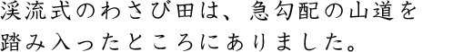 渓流式のわさび田は、急勾配の山道を踏み入ったところにありました。