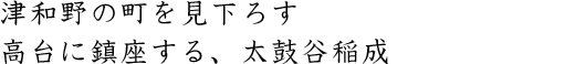 津和野の町を見下ろす高台に鎮座する、太鼓谷稲成